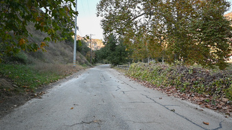 Enlarge photo 55