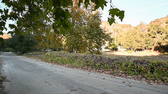 Enlarge photo 57