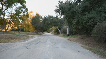 Enlarge photo 56