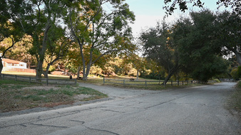 Enlarge photo 58