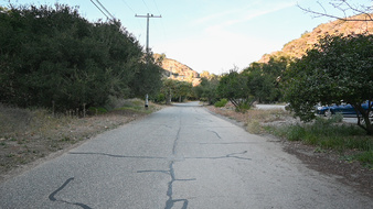 Enlarge photo 59