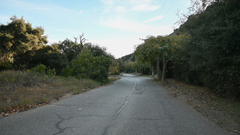 Enlarge photo 60