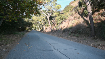 Enlarge photo 61