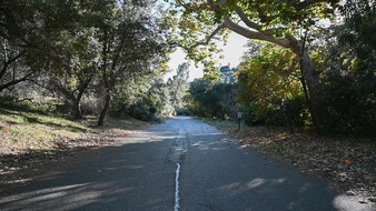 Enlarge photo 62