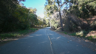 Enlarge photo 63