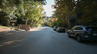 Enlarge photo 64