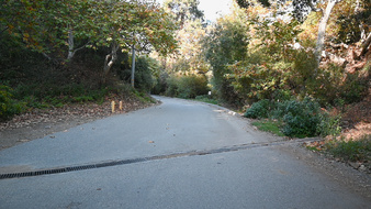 Enlarge photo 65