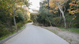 Enlarge photo 66