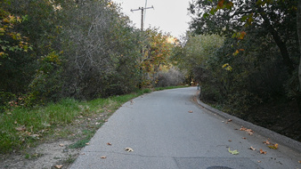 Enlarge photo 67