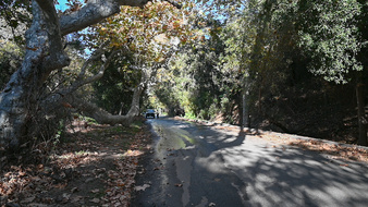 Enlarge photo 69
