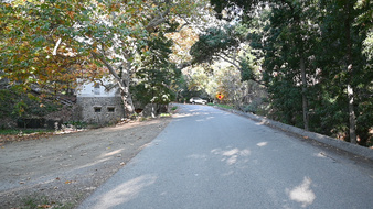 Enlarge photo 71