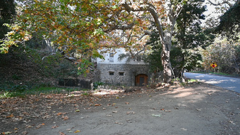 Enlarge photo 72