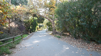 Enlarge photo 73