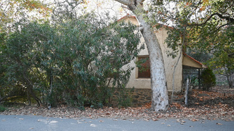 Enlarge photo 75