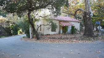 Enlarge photo 77