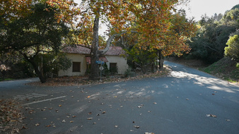 Enlarge photo 74