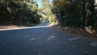 Enlarge photo 76