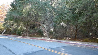 Enlarge photo 8