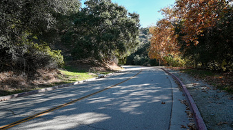 Enlarge photo 10