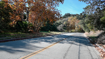 Enlarge photo 11
