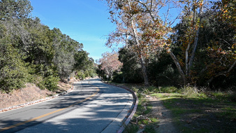 Enlarge photo 12