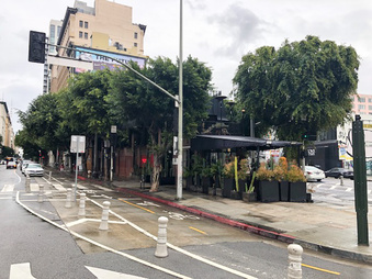 Polanco - DTLA