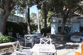 Enlarge photo 35