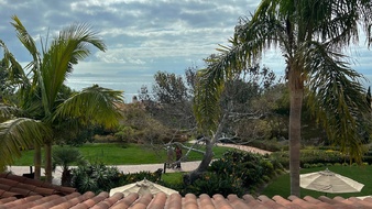 Enlarge photo 141