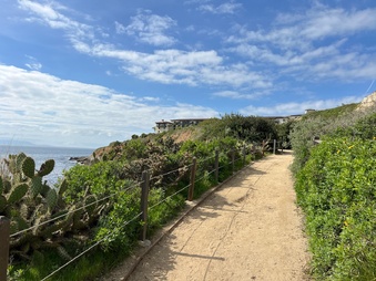 Enlarge photo 116