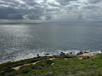 Enlarge photo 30