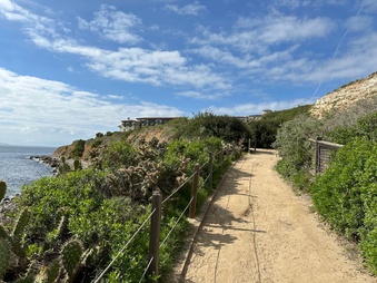 Enlarge photo 114