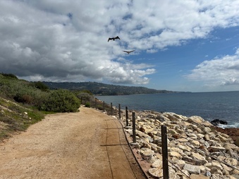 Enlarge photo 130