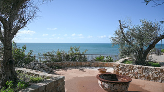 Enlarge photo 11
