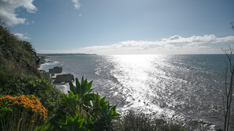 Enlarge photo 13