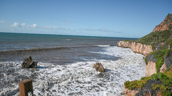 Enlarge photo 23