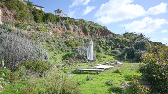 Enlarge photo 24