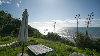 Enlarge photo 27