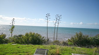 Enlarge photo 28