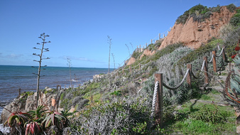 Enlarge photo 29