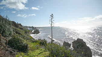 Enlarge photo 30