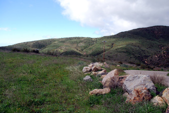 Enlarge photo 4
