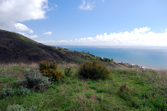 Enlarge photo 23