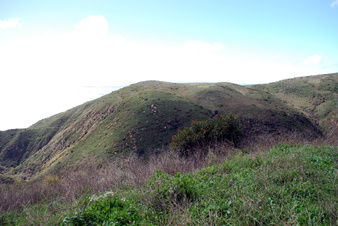 Enlarge photo 28