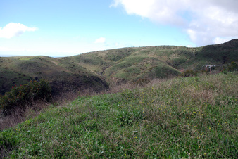 Enlarge photo 29