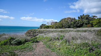 Enlarge photo 6