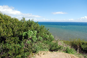 Enlarge photo 14