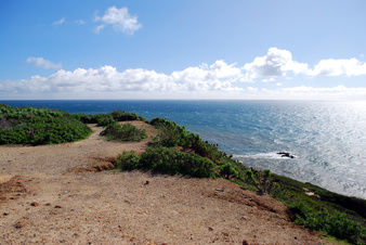 Enlarge photo 18