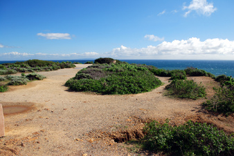 Enlarge photo 19