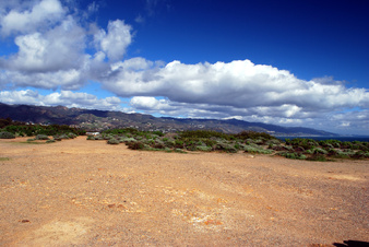 Enlarge photo 23