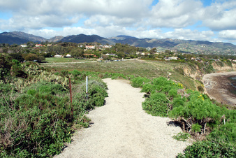 Enlarge photo 25